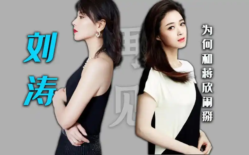 刘涛和蒋欣从好闺蜜到"闹掰":"掏心组合"成为很多人的意难平_哔哩哔哩