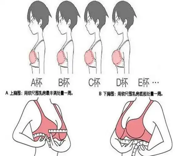 a大还是b罩杯大还是c罩杯大 区分大小水果