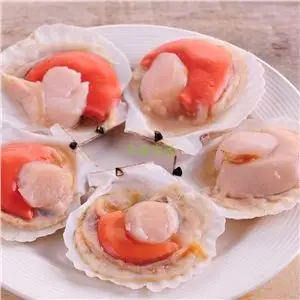扇贝【7-9只】450g