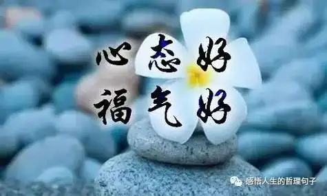 广场舞姐最拽分解动作_高质量拽姐文案_广场舞姐最拽