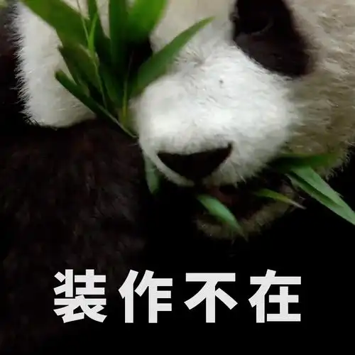 福利放送全套大熊猫表情包收好不谢