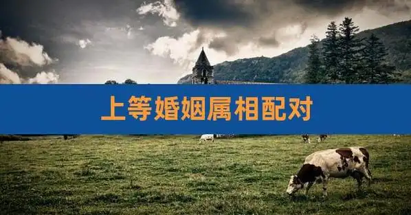上等婚姻属相配对,男牛的婚配属相最好