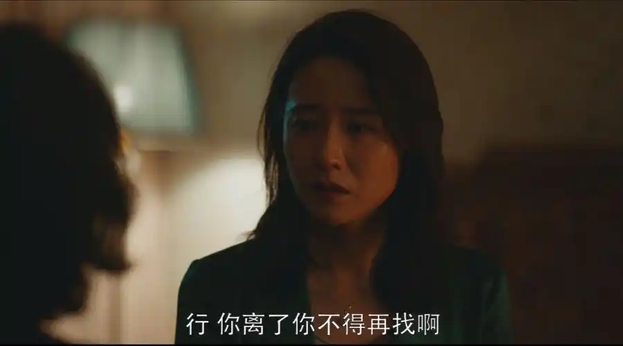 警察荣誉第22集分集剧情介绍(共38集)_电视剧_搜视网