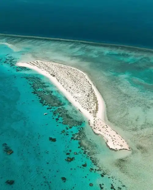 沙特阿拉伯王国西北部umluj海滩的清澈海