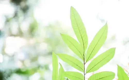 小清新风景图片高清桌面电脑壁纸,风景壁纸,唯美,小清新,风景,高清