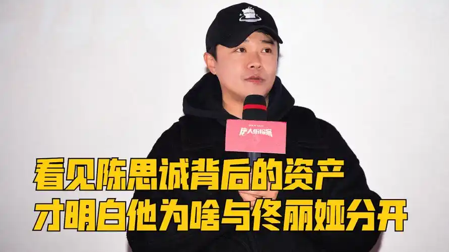看见陈思诚背后的资产才明白他为啥与佟丽娅分开