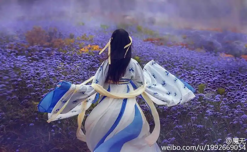 【@淡蓝色星星】青丝为笼系,桂枝为笼钩.… - 堆糖,美图壁纸兴趣社区