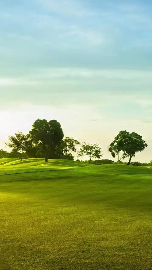 蓝天白云草原h5背景