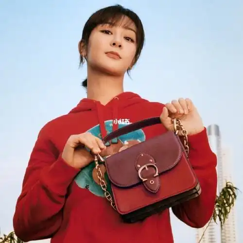 杨紫💜新年系列经典标志帆布beat 包包