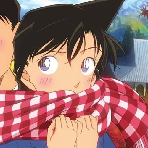 有没有新一和小兰的情侣头像