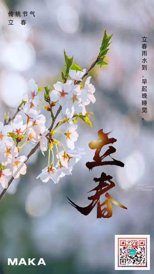 24节气立春宣传海报