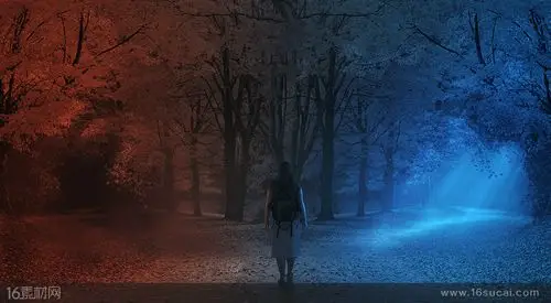 站在夜晚森林中的分叉路口的人高清图片