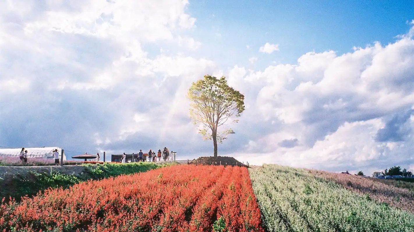 日本北海道唯美自然风光高清桌面壁纸高清大图预览1920x1080_风景壁纸
