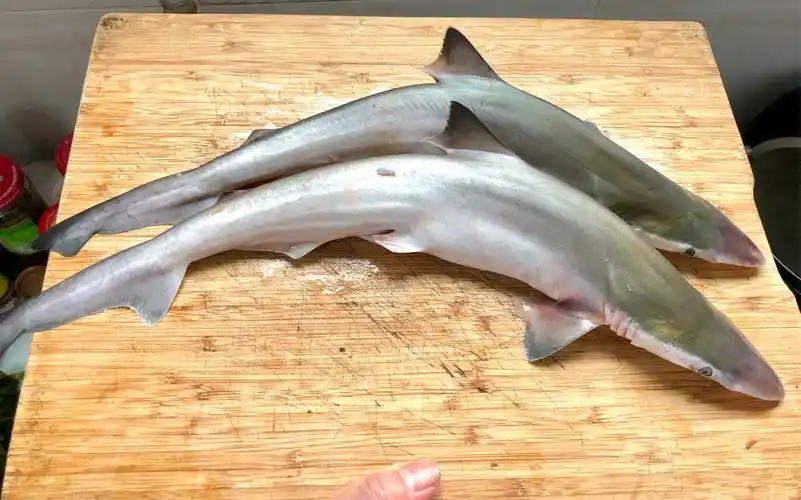 养殖鲨鱼如何去除氨水味和沙子大厨教你豉汁蒸鲨鱼好吃不腥