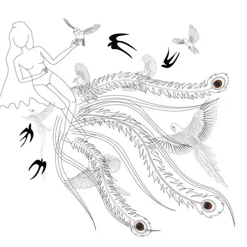 百鸟朝凤|插画|创作习作|re___原创作品-站酷zcool