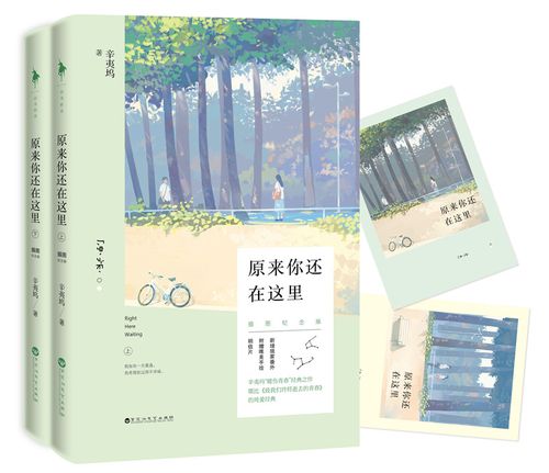 致青春2:原来你还在这里(由杨子姗,韩东君,李程彬,苏青,蓝盈莹,檀健次