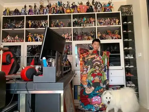 手办堆满房,海报贴满墙,这样做才是真爱动漫迷?网友:是我不配