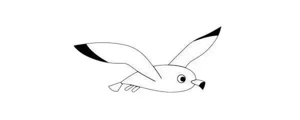 海鸥简笔画步骤教程及图片大全