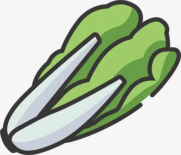 清新大白菜矢量图标