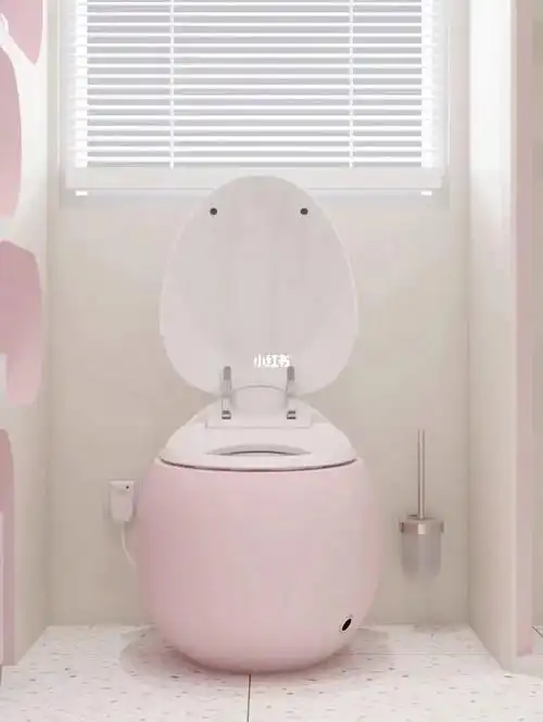 如此精致的智能马桶,我家快成小区代言了