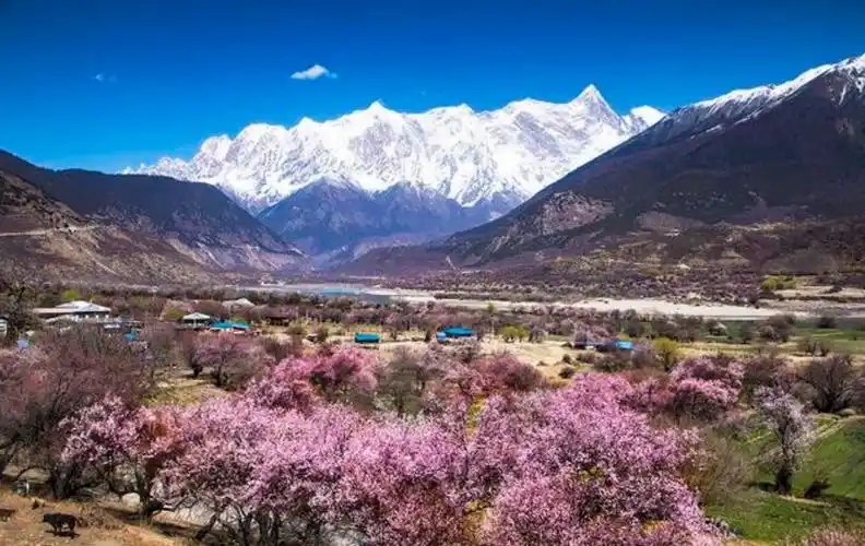 中国最美峰!一山四种景!独占鳌头几千年