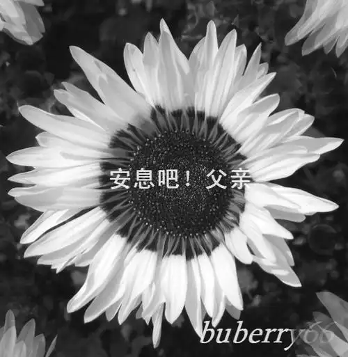 哭断单喉应无声  羸弱绝望痛惜亲  悲恸欲绝断消魂  沉痛哀悼悲海深