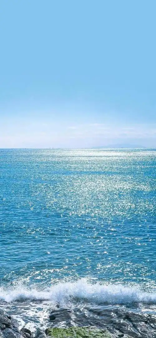 640_1385竖版 竖屏