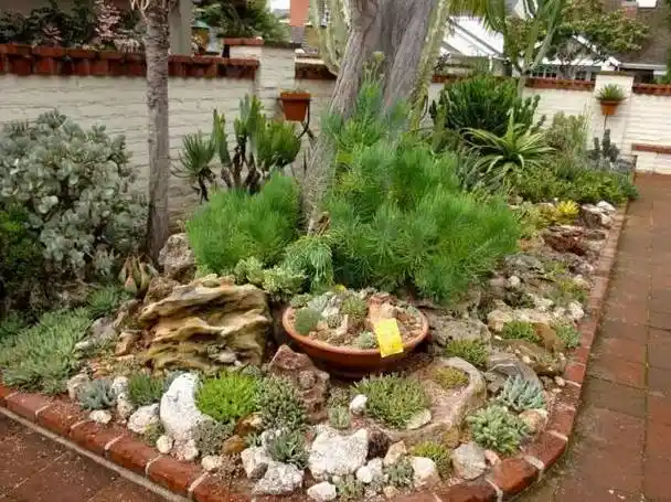 精美绝伦的多肉植物园林景观厉害了我的多肉