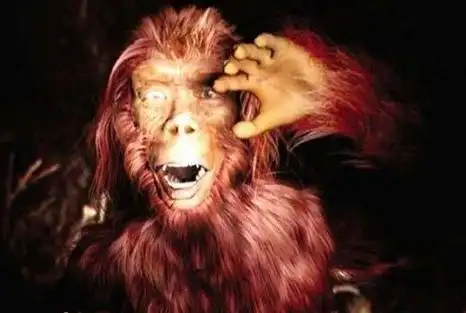 走进神农架追踪揭秘野人各种足迹