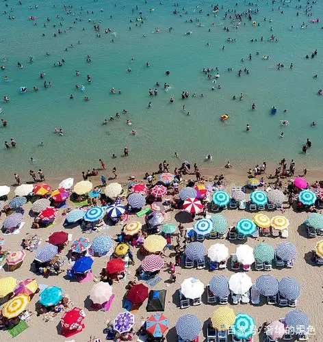 土耳其艾登省,民众在阿勒腾库姆海滩游泳享受日光浴