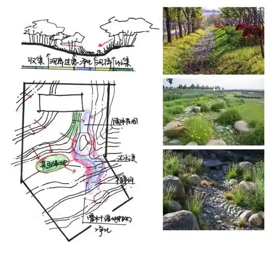 自高向低处设计为体量较大的雨水花园,线性的叠水溪