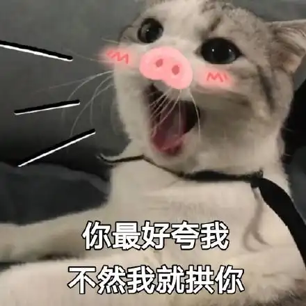 可爱我才是长久之计 - 一组甜甜的熊猫头表情包_撩妹撩汉表情