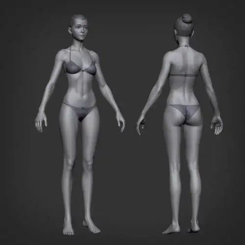 女人体tpose雕刻练习