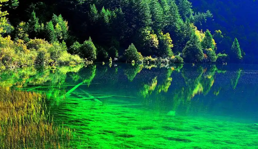 人间仙境-梦幻九寨