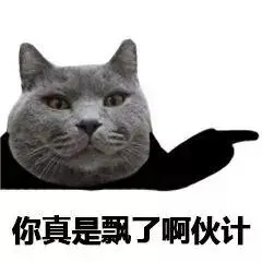 猫脸熊猫人表情包-你真是飘了啊伙计