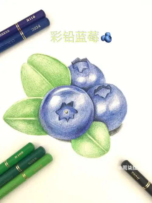 彩铅水果蓝莓08