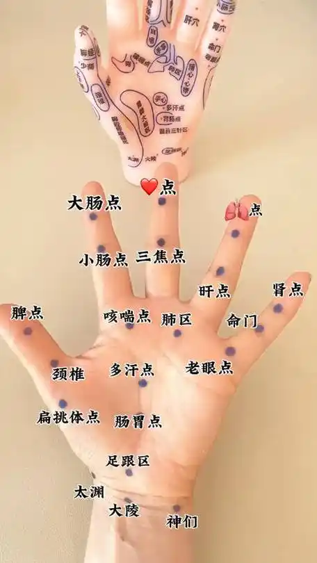 手部按摩##小动作大作用