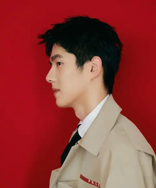 刘昊然侧颜生图真的可