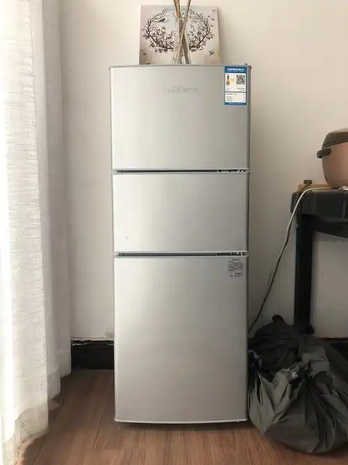 三开门家用小冰箱8月份买的 售价500 另有衣架收纳盒等闲置物品 不便