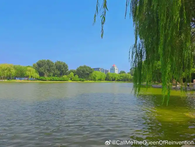 北京旅游##北京旅游攻略##陶然亭公园##北京旅游记##北京周末去哪玩