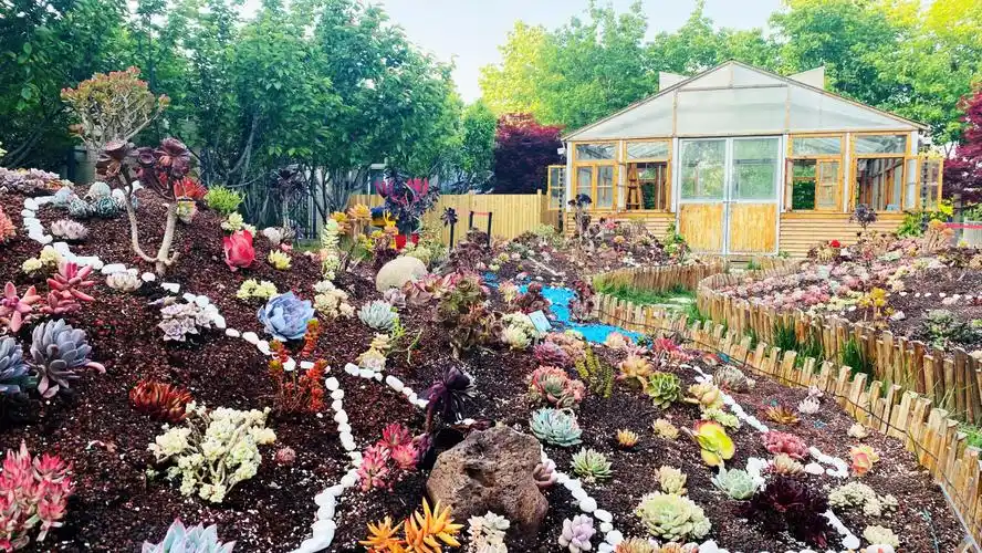 畅享劳动,乐在园林,线上打卡秘密花园看多肉