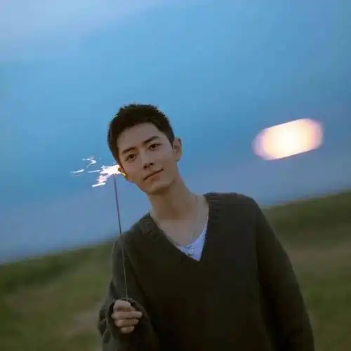 【微信头像】肖战