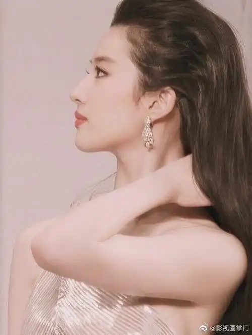 刘亦菲完美侧脸
