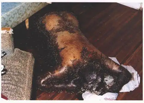 兴稳法师的博客