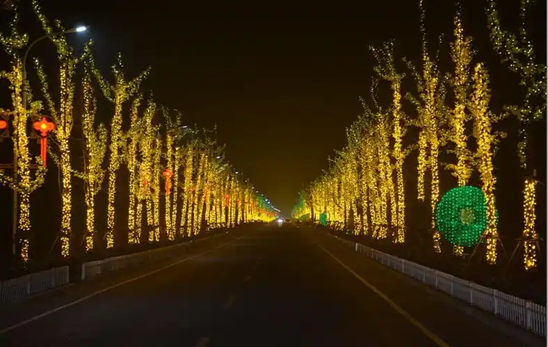 黄狮"星光大道"