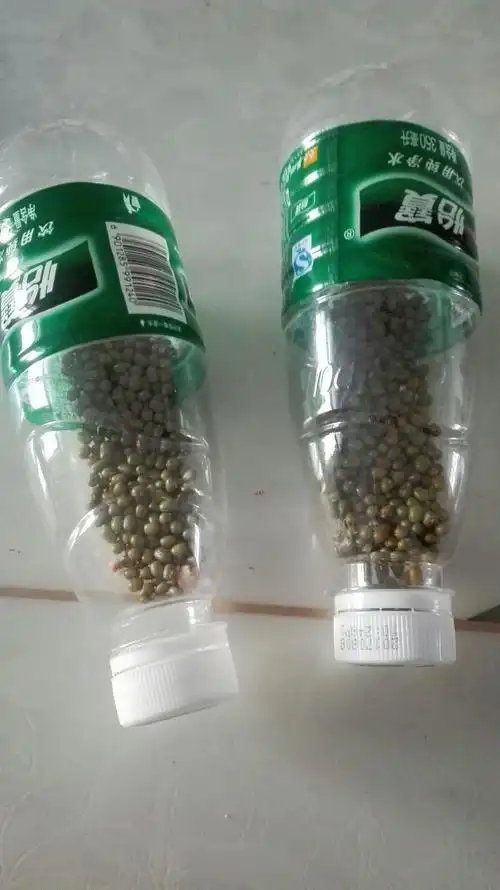 我让自己发明的乐器更美啦!