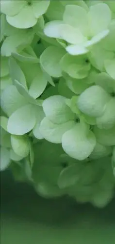 养眼全屏壁纸,治愈系列,天天好心情_手机搜狐网