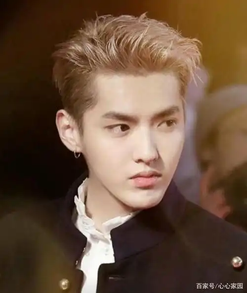 吴亦凡,1990年出生于广州,2000年移民加拿大,华语影视男演员,流行乐