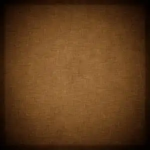 浅棕色暗棕色图片