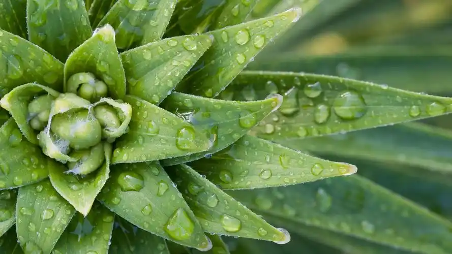 热门4k动态桌面壁纸图片_热门动态壁纸下载-元气壁纸